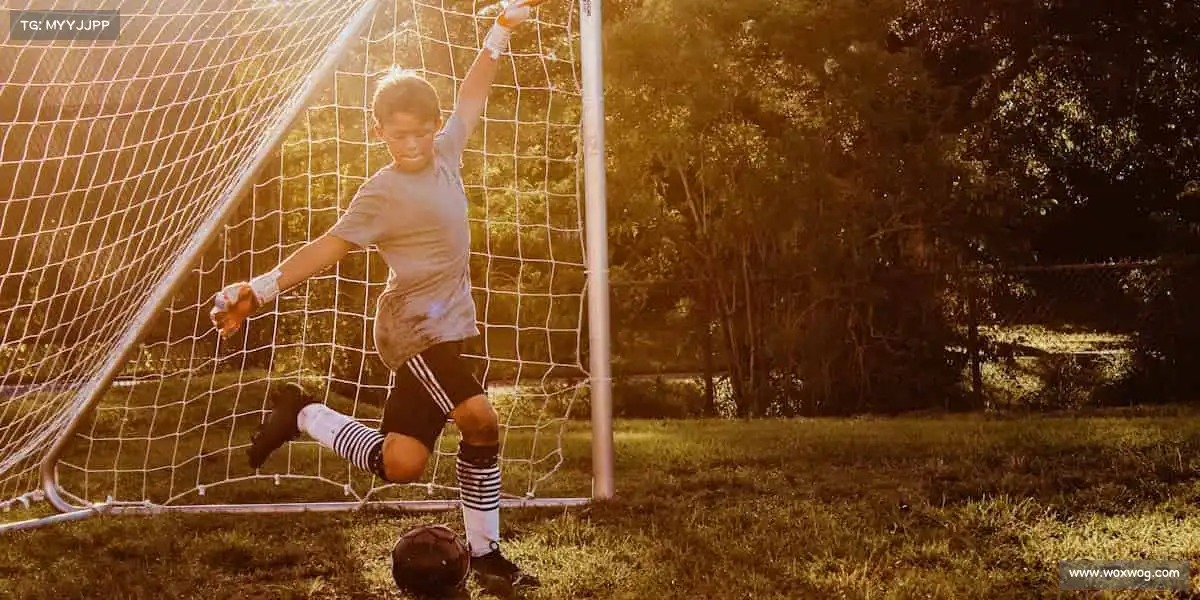 为什么选择我们